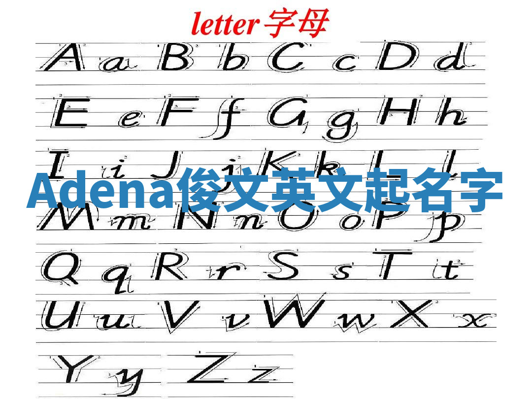 Adena俊文英文起名字 Adena俊文英文起名字