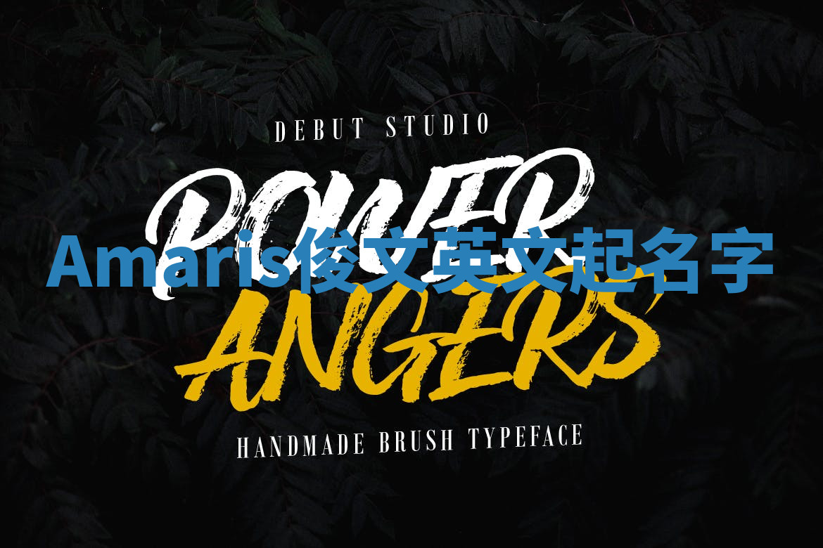 Amaris俊文英文起名字 Amaris俊文英文起名字