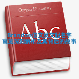 Brandon俊文英文起名字寓意深刻解析及其背后的故事 Brandon俊文英文起名字寓意深刻解析及其背后的故事