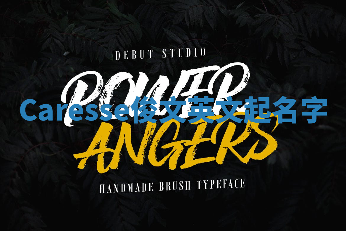 Caresse俊文英文起名字