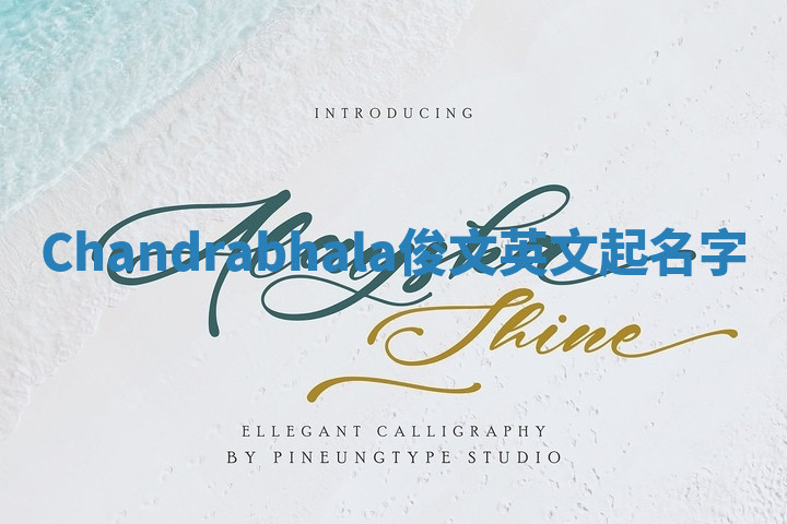 Chandrabhala俊文英文起名字