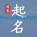 Clintwood俊文英文起名字 Clintwood俊文英文起名字