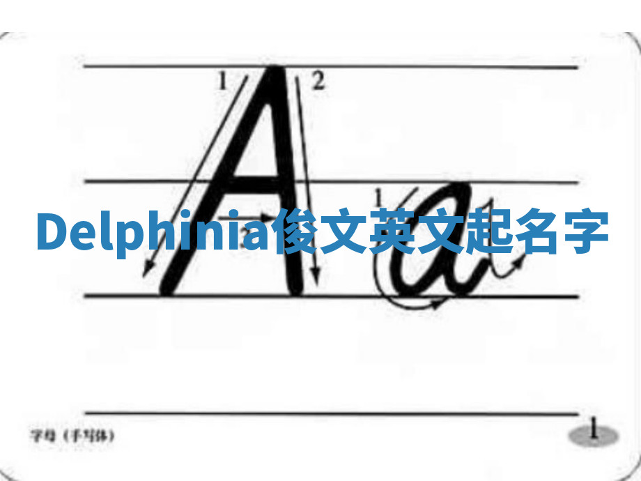 Delphinia俊文英文起名字