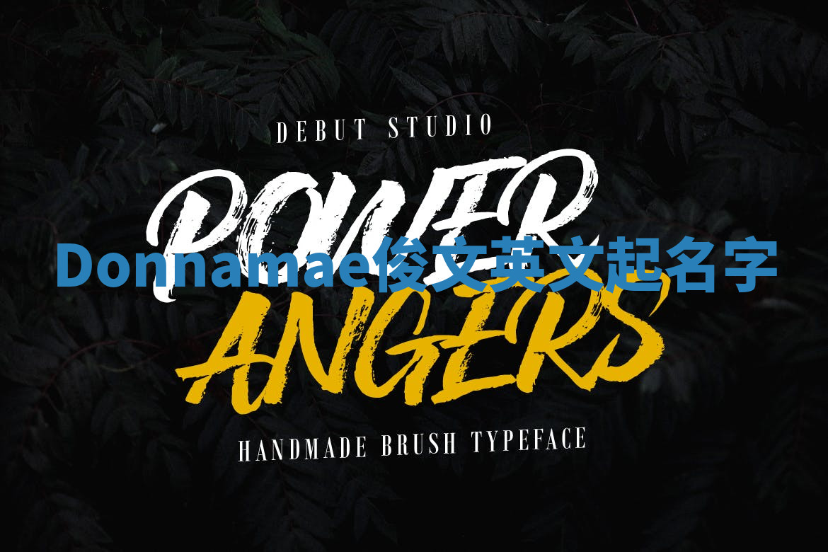 Donnamae俊文英文起名字 Donnamae俊文英文起名字