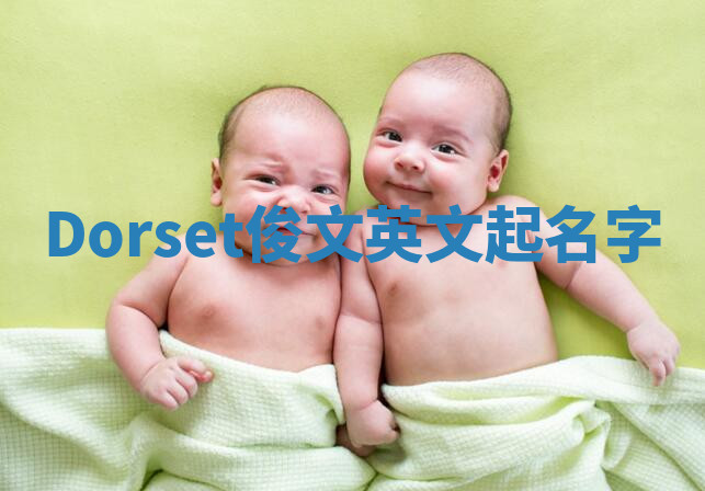 Dorset俊文英文起名字