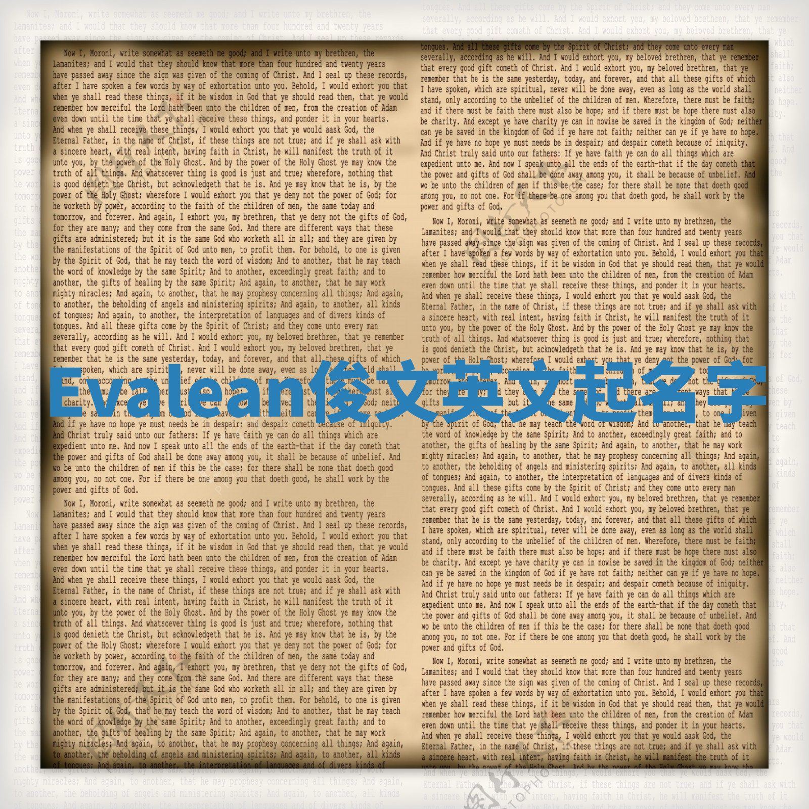 Evalean俊文英文起名字 Evalean俊文英文起名字