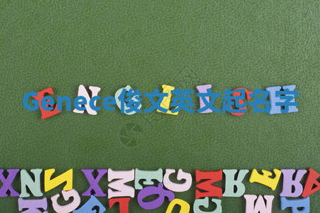 Genece俊文英文起名字 Genece俊文英文起名字