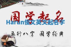 Harun俊文英文起名字 Harun俊文英文起名字
