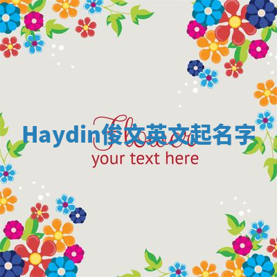 Haydin俊文英文起名字 Haydin俊文英文起名字