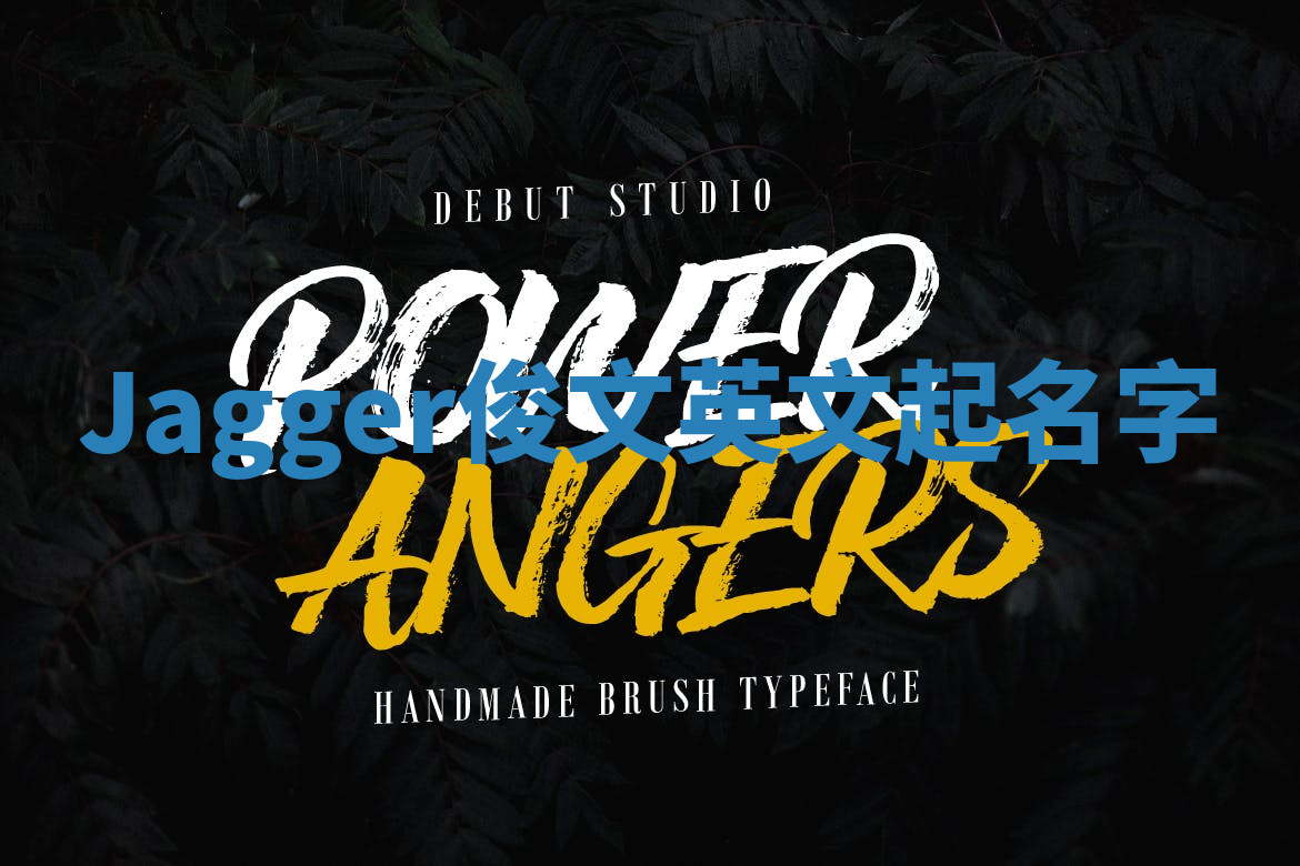 Jagger俊文英文起名字