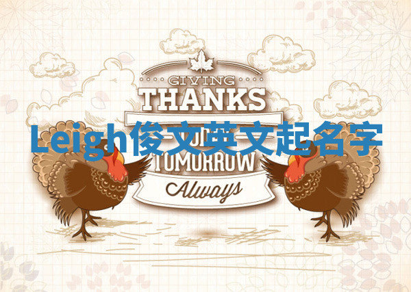 Leigh俊文英文起名字