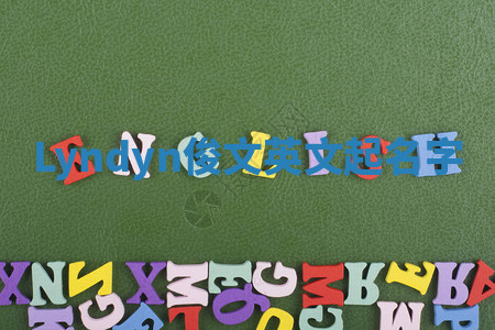 Lyndyn俊文英文起名字