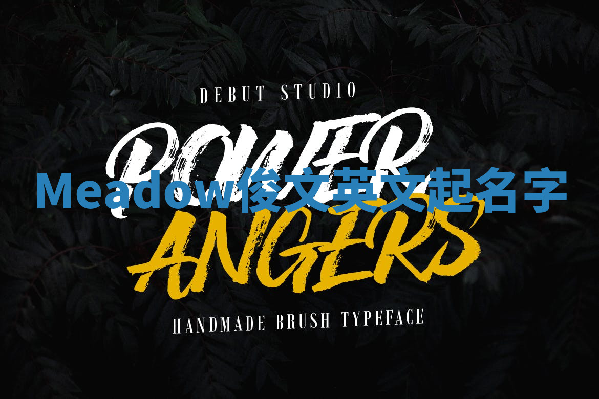 Meadow俊文英文起名字