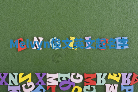 Melvyn俊文英文起名字