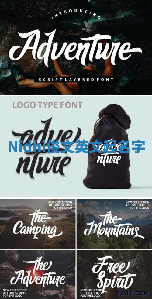 Nidhi俊文英文起名字