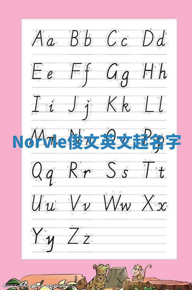 Norvie俊文英文起名字 Norvie俊文英文起名字