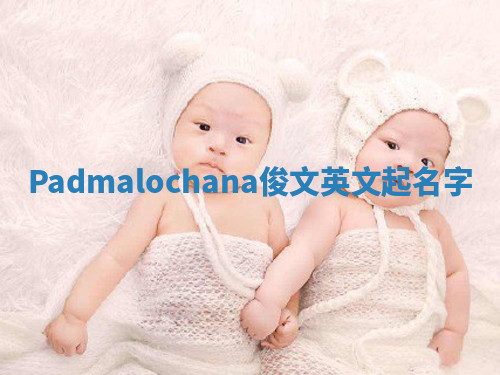 Padmalochana俊文英文起名字 Padmalochana俊文英文起名字