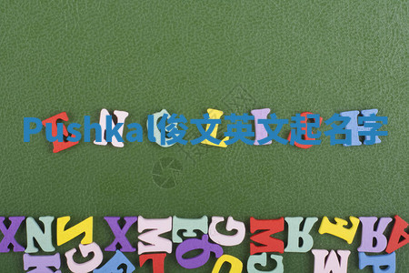 Pushkal俊文英文起名字