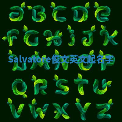 Salvatore俊文英文起名字 Salvatore俊文英文起名字
