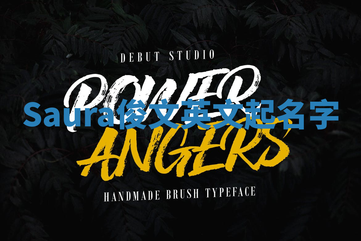 Saura俊文英文起名字 Saura俊文英文起名字