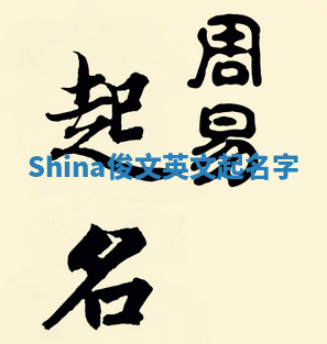 Shina俊文英文起名字