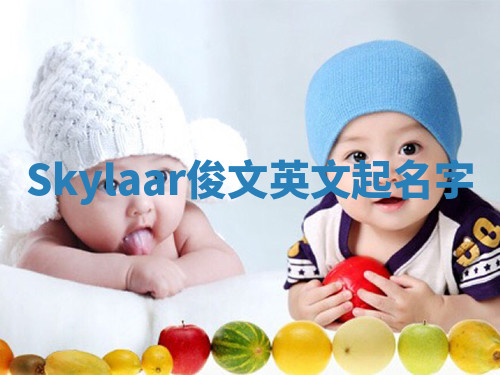 Skylaar俊文英文起名字