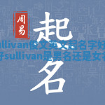 Sullivan俊文英文起名字好不好 sullivan是男名还是女名