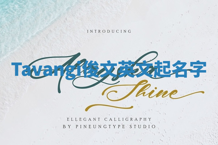 Tavangi俊文英文起名字