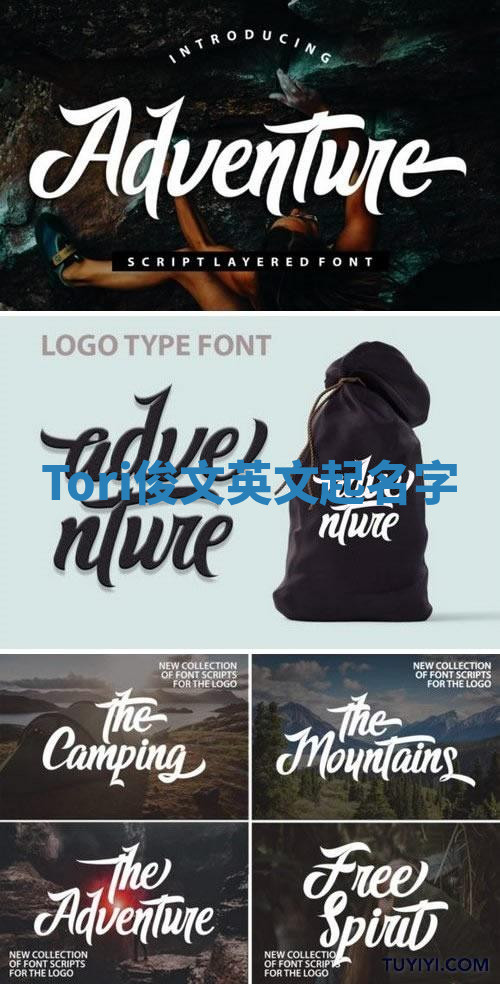 Tori俊文英文起名字