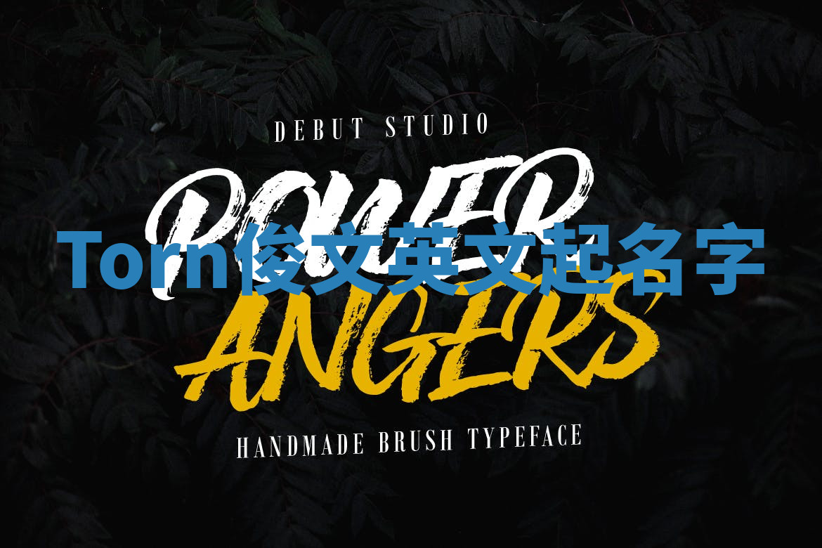 Torn俊文英文起名字