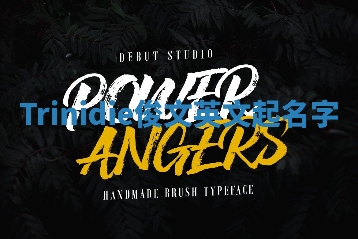 Trinidie俊文英文起名字