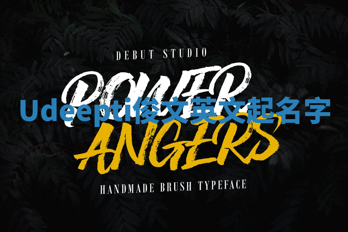 Udeepti俊文英文起名字 Udeepti俊文英文起名字