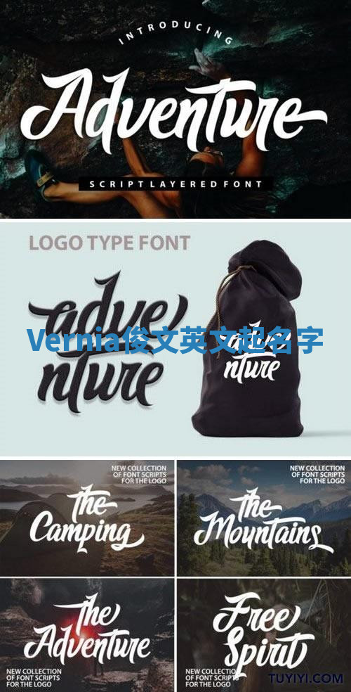 Vernia俊文英文起名字