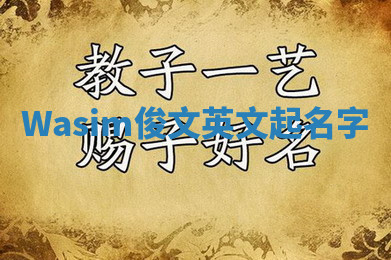 Wasim俊文英文起名字