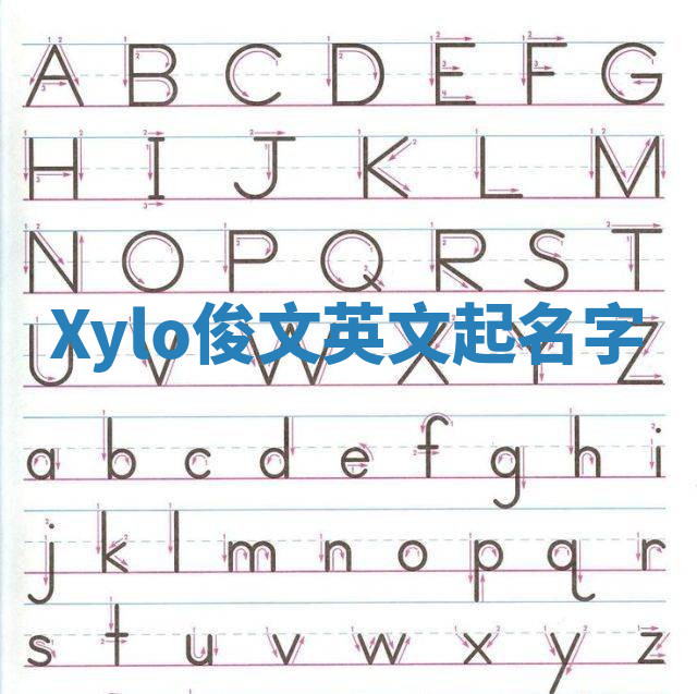 Xylo俊文英文起名字