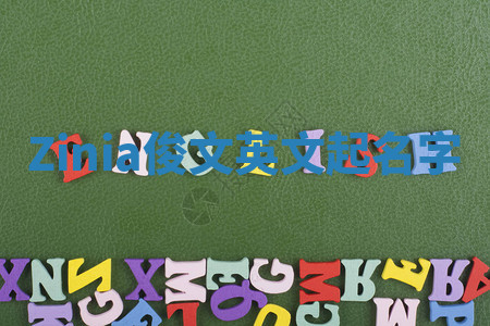 Zinia俊文英文起名字