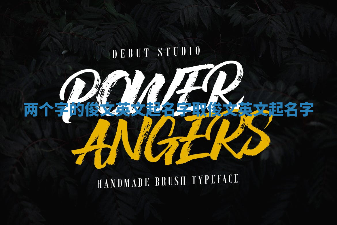 两个字的俊文英文起名字_取俊文英文起名字 两个字的俊文英文起名字_取俊文英文起名字