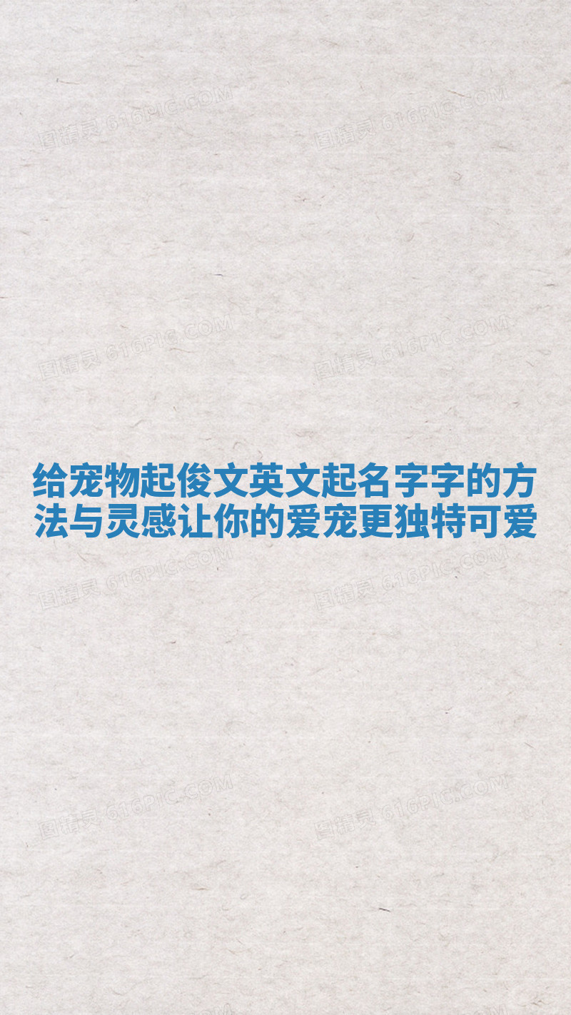 给宠物起俊文英文起名字字的方法与灵感让你的爱宠更独特可爱 给宠物起俊文英文起名字字的方法与灵感让你的爱宠更独特可爱